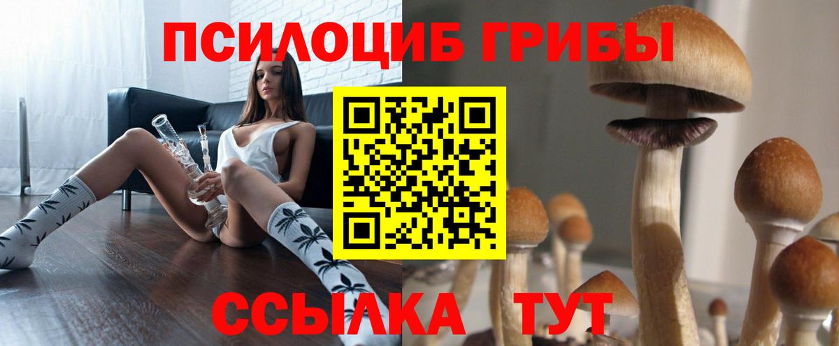 Псилоцибиновые грибы Psilocybe Екатеринбург