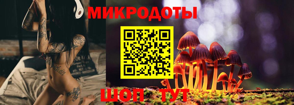 Галлюциногенные грибы Psilocybine cubensis  Вход с VPN  Екатеринбург 